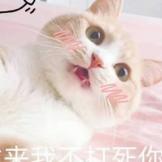 甜味的秋千